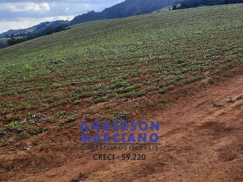 Fazenda à Venda – Região de Santa Rita de Caldas/MG