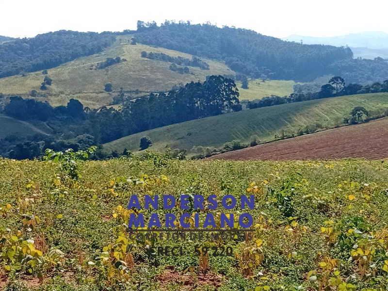 Fazenda à Venda – Região de Santa Rita de Caldas/MG