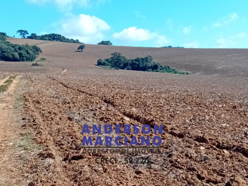 Fazenda à Venda – Região de Santa Rita de Caldas/MG