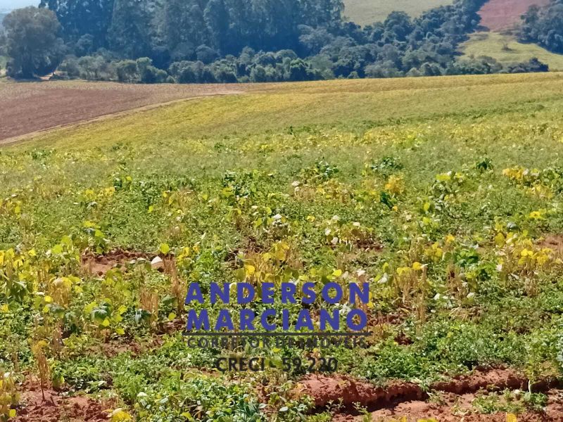 Fazenda à Venda – Região de Santa Rita de Caldas/MG