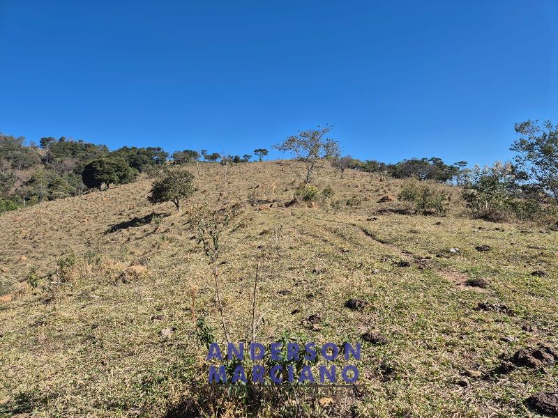 Sítio à Venda – 15 Alqueires