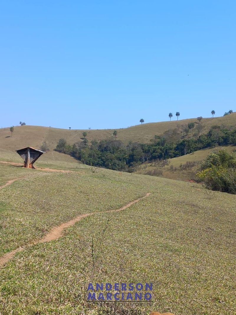 Fazenda à Venda – Itapira/SP