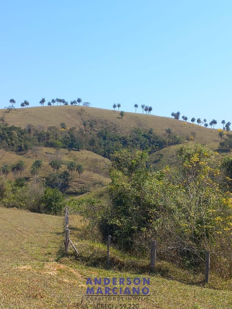 Fazenda à Venda – Itapira/SP