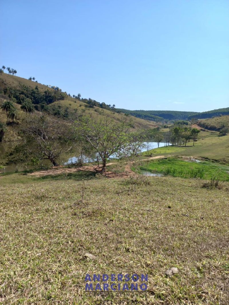 Fazenda à Venda – Itapira/SP