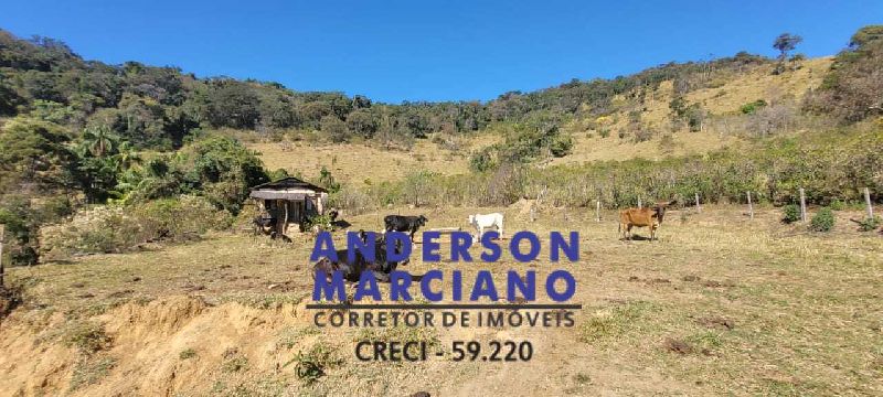 Fazenda de Café em Jacutinga