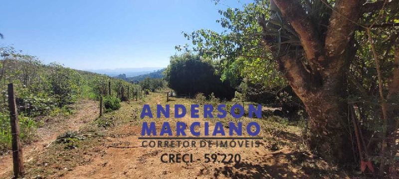 Fazenda de Café em Jacutinga