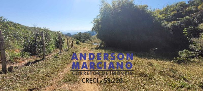 Fazenda de Café em Jacutinga