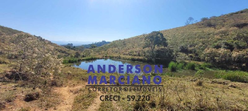 Fazenda de Café em Jacutinga