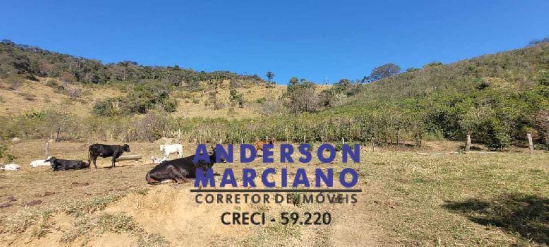 Fazenda de Café em Jacutinga