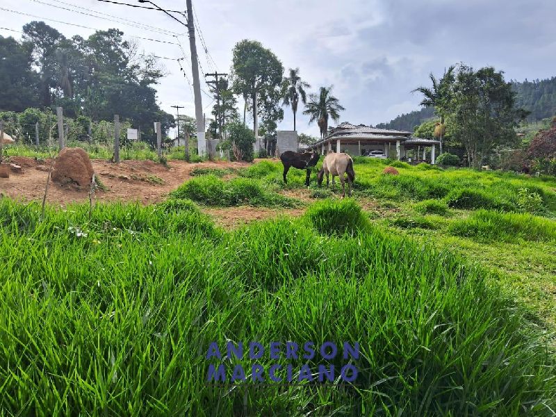 Terreno à Venda – Bairro Giraldi | Ideal para Chalés