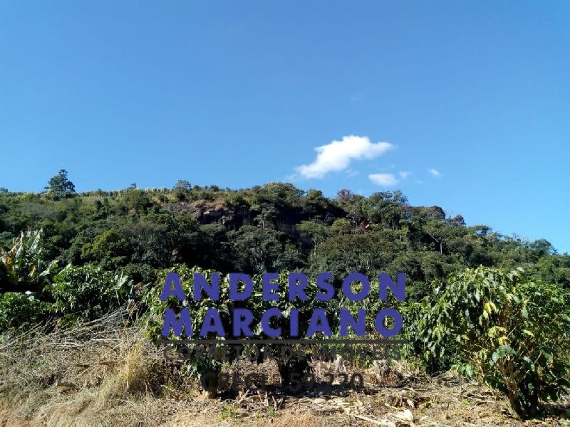 Sítio à Venda – Serra Negra / Monte Alegre do Sul