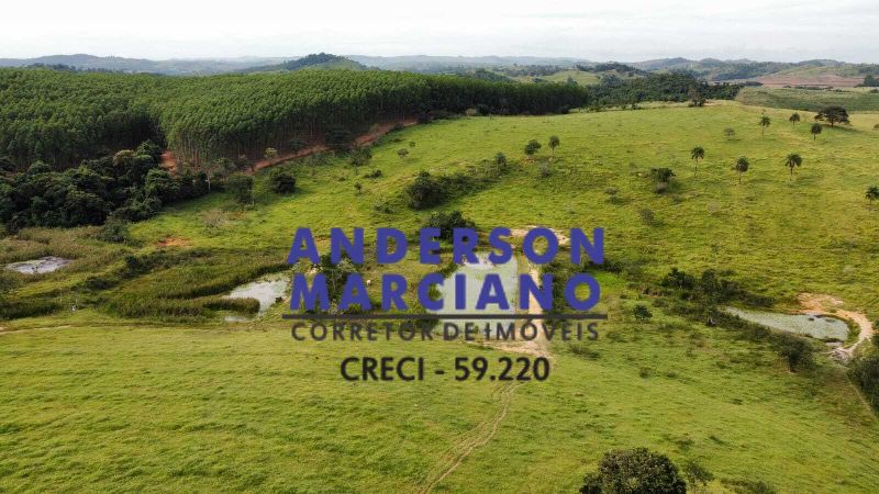 Sítio à Venda – Itapira (SP) | 26 Alqueires