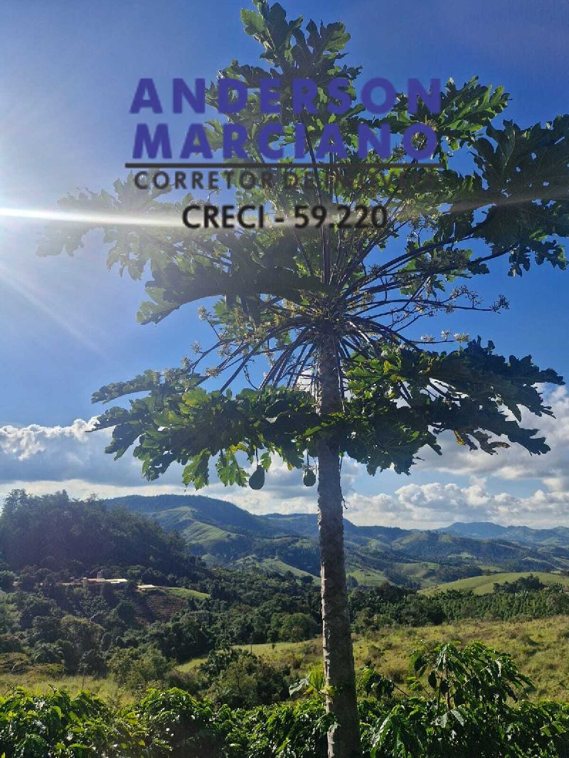 Chácara à Venda – Ideal para Pousada, Turismo Rural ou Lazer