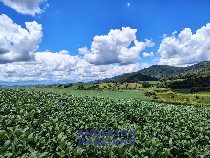 Fazenda à Venda – Serra Negra/SP
