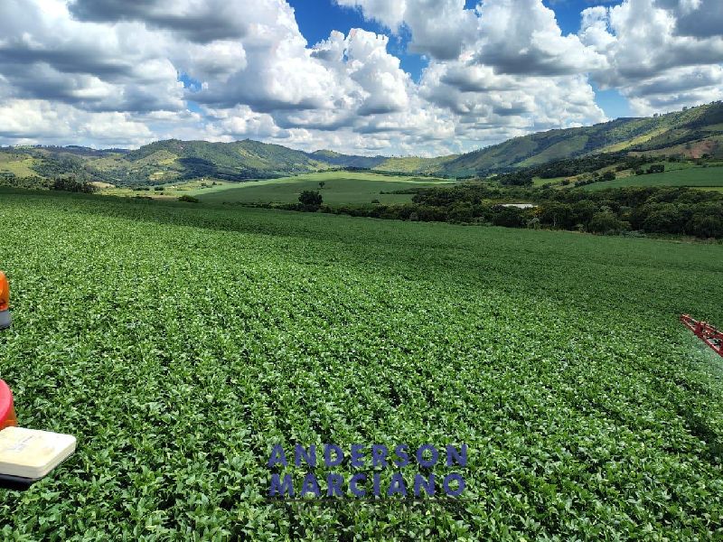 Fazenda à Venda – Serra Negra/SP