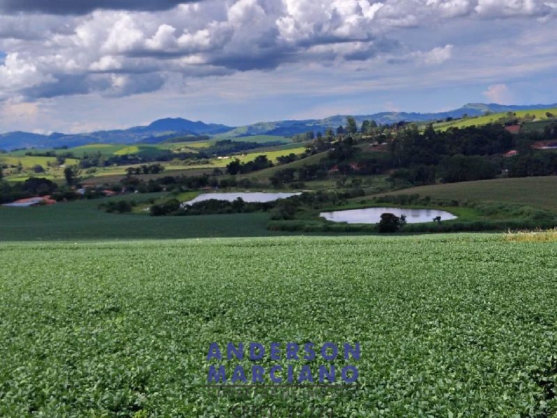 Fazenda à Venda – Serra Negra/SP