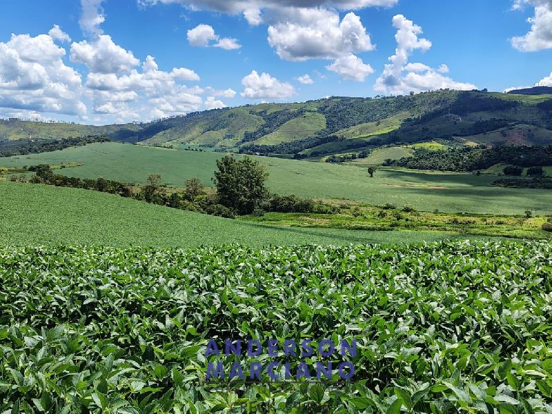 Fazenda à Venda – Serra Negra/SP