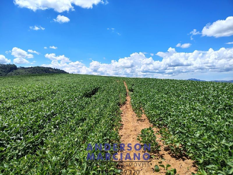 Fazenda à Venda – Serra Negra/SP
