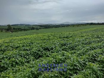 Fazenda TAPIRATIBA