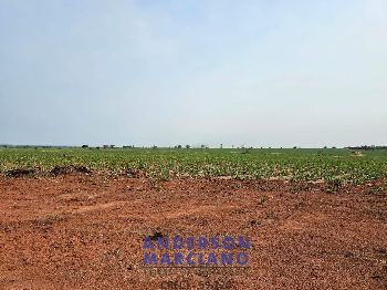 Fazenda em Panorama SP