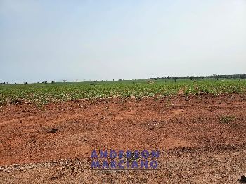 Fazenda em Panorama SP