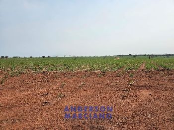 Fazenda em Panorama SP