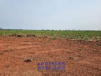 Fazenda em Panorama SP