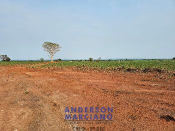 Fazenda em Panorama SP