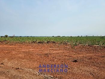 Fazenda em Panorama SP