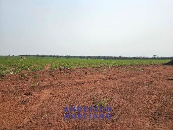 Fazenda em Panorama SP