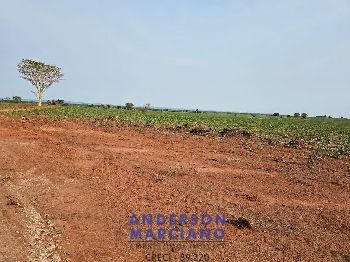 Fazenda em Panorama SP