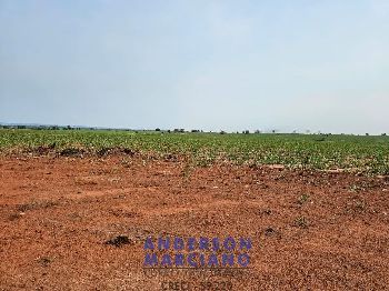 Fazenda em Panorama SP