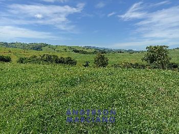 Fazenda à Venda em São Lourenço da Serra - 116 Alqueires