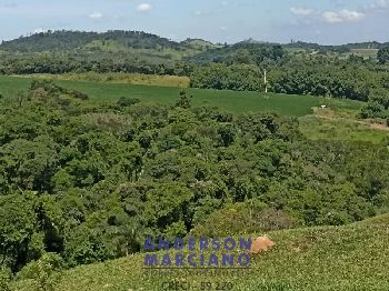 Fazenda à Venda em São Lourenço da Serra - 116 Alqueires