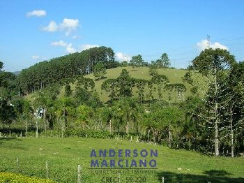 Fazenda à Venda em São Lourenço da Serra - 116 Alqueires