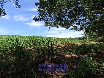 Fazenda à Venda em São Lourenço da Serra - 116 Alqueires