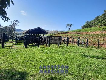 Sítio à Venda em Jacutinga – 25 Alqueires