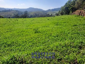 Sítio à Venda em Jacutinga – 25 Alqueires