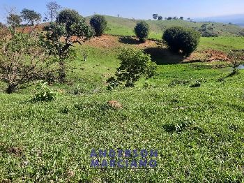 Sítio à Venda em Jacutinga – 25 Alqueires