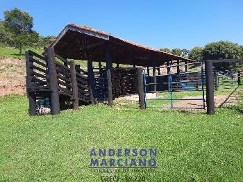 Sítio à Venda em Jacutinga – 25 Alqueires