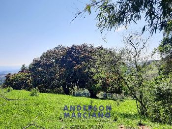 Sítio à Venda em Jacutinga – 25 Alqueires