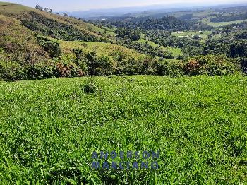 Sítio à Venda em Jacutinga – 25 Alqueires