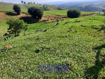 Sítio à Venda em Jacutinga – 25 Alqueires