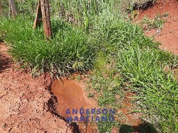 Sítio à Venda em Jacutinga – 25 Alqueires