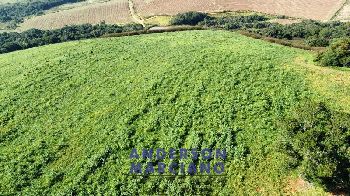 Fazenda à Venda em Pouso Alegre – 66 Alqueires