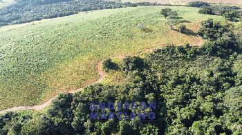 Fazenda à Venda em Pouso Alegre – 66 Alqueires