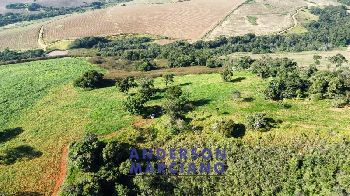 Fazenda à Venda em Pouso Alegre – 66 Alqueires