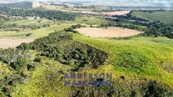 Fazenda à Venda em Pouso Alegre – 66 Alqueires
