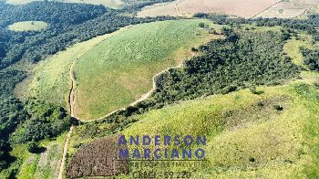 Fazenda à Venda em Pouso Alegre – 66 Alqueires