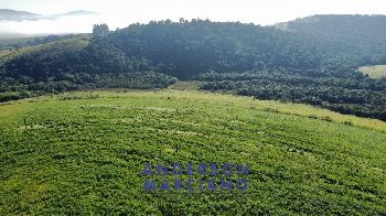 Fazenda à Venda em Pouso Alegre – 66 Alqueires